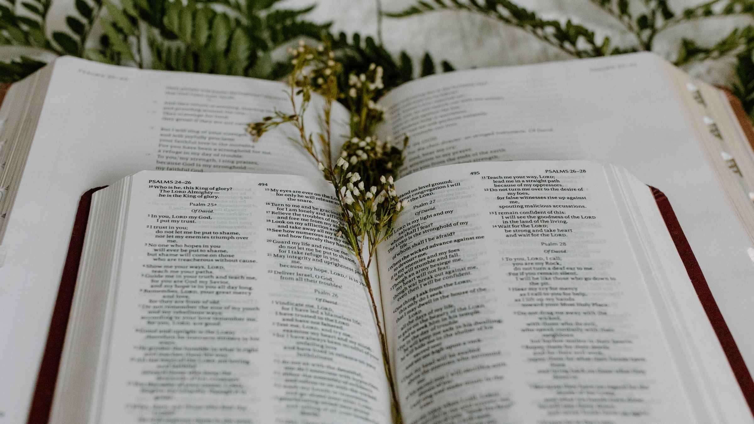 28 Bible Verses With Flowers-Growing Up Spiritually